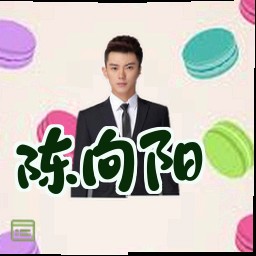 陈向阳
